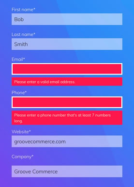 Mobile eCommerce Checklist: Form Field Example